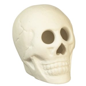 HALLOWEEN SKULL