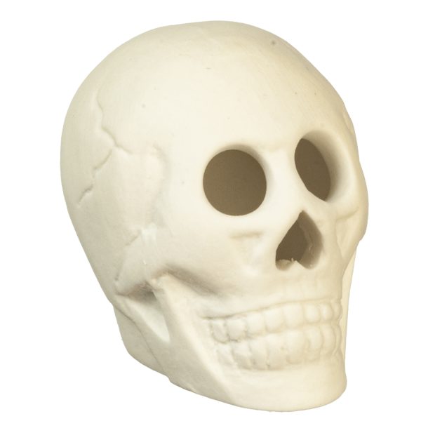HALLOWEEN SKULL