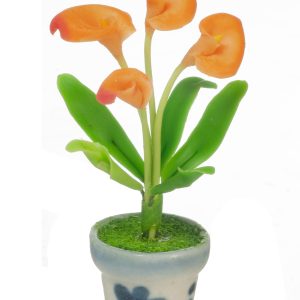 ANTHURIUMS IN POT/ORANGE