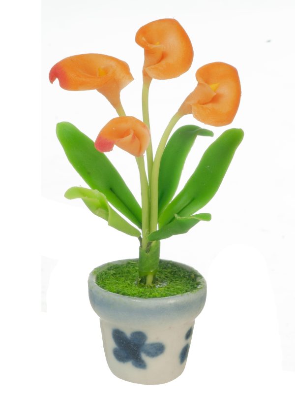 ANTHURIUMS IN POT/ORANGE
