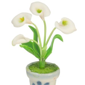 ANTHURIUMSI IN POT/WHITE