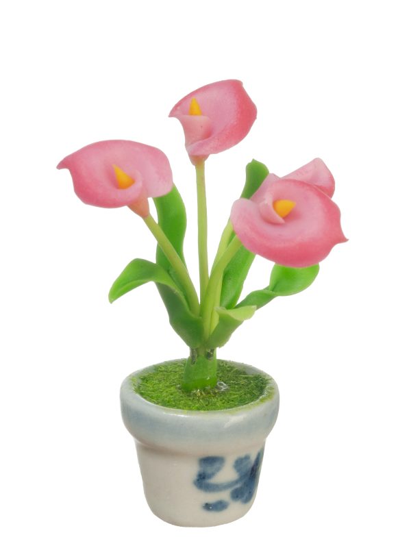 ANTHURIUMS IN POT/PINK