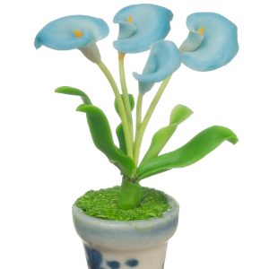 ANTHURIUMS IN POT/BLUE