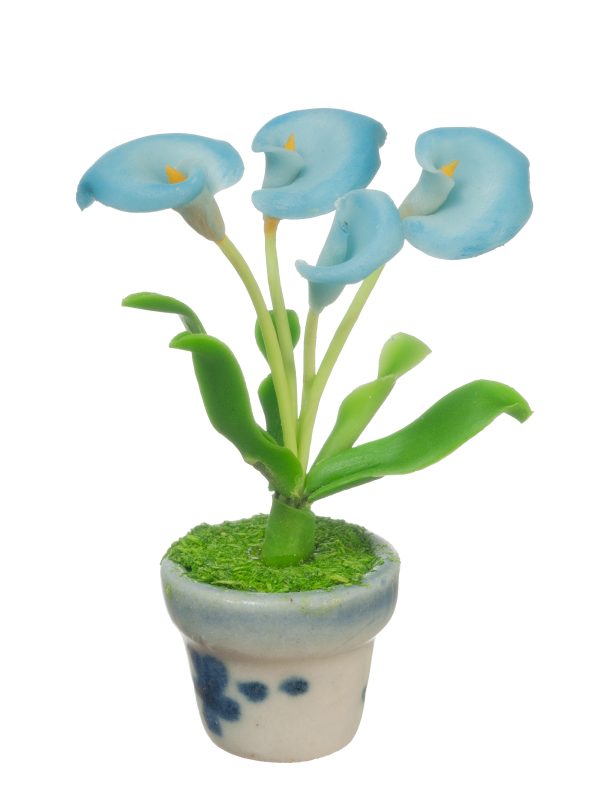 ANTHURIUMS IN POT/BLUE