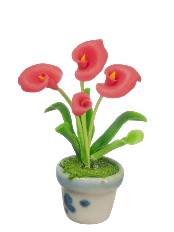 ANTHURIUMS IN POT/RED