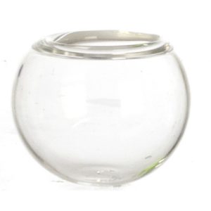 GLASS FISH BOWL