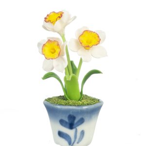 DAFFODILS IN POT/YEL/WHT