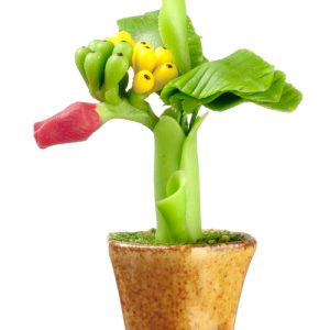 BANANA PLANTS
