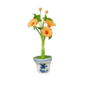 MORNING GLORIES IN POT/AS