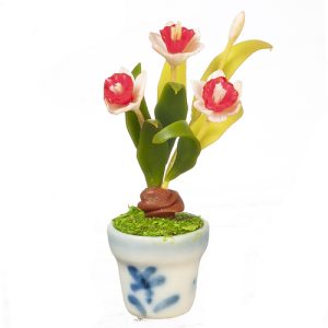 RED DAFFODILS IN POT