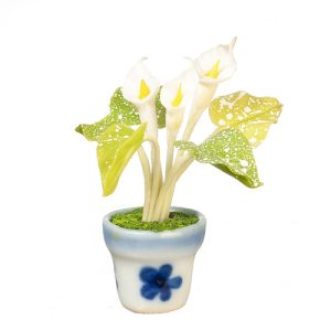 CALLALILY IN POT/WHITE