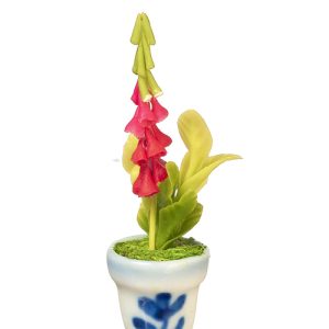 FOXGLOVE IN POT