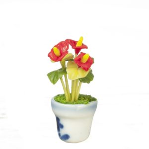 ANTHURIUM IN POT