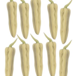 BITTER MELONS/10Pcs