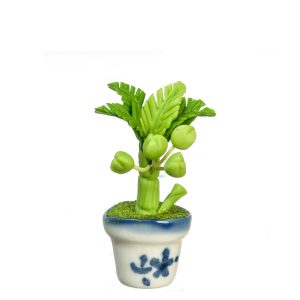 COCONUT TREE PLANT