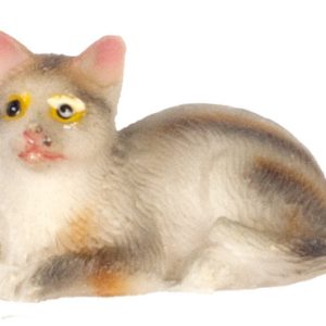 TABBY CAT/SITTING