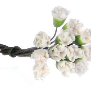 MINI CARNATIONS/12/WHITE