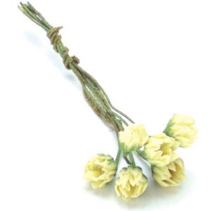 YELLOW W.LILY/6 HALF BLMS