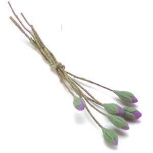 PURPLE WATER LILY/6 BUDS