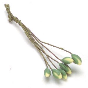 YELLOW WATER LILY/6 BUDS