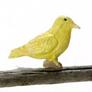 NORWICH FANCY CANARY