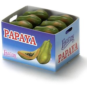 PAPAYA CASE