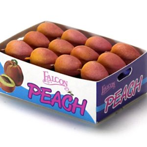 PEACH CASE