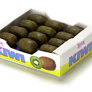 KIWI CASE