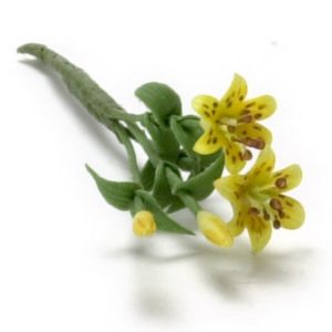 TIGER LILY/2 LG.STEMS/YEL