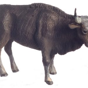 1/2in SCALE STEER