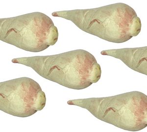 TURNIPS/6pcs