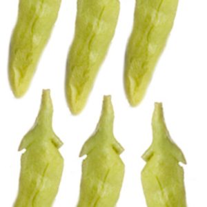 SNAP PEAS/6pcs
