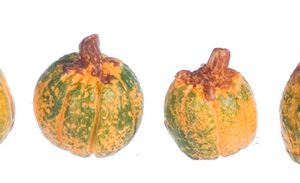 1/2in PUMPKIN/GREEN/4