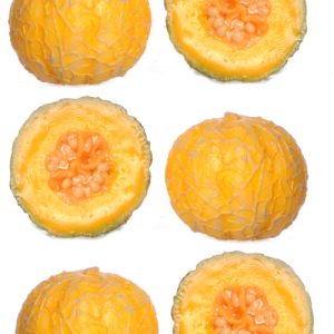 CANTALOUPE/6pcs