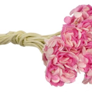 GYPSO/HOT PINK
