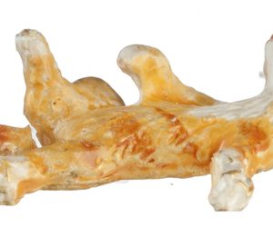 1/4in CAT/ORANGE