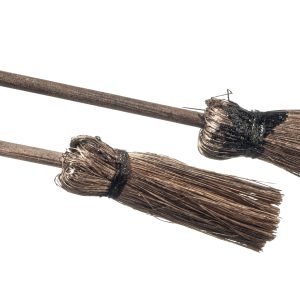 WITCHES BROOMS/2.2