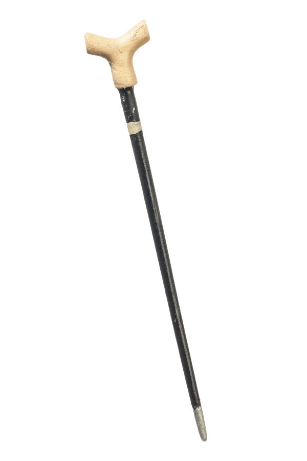 WALKING STICK