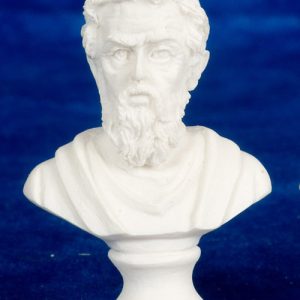 MICHAELANGELO/1pc