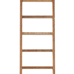 10in LADDER W.TREAD!
