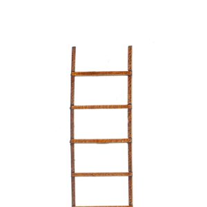 6in LADDER