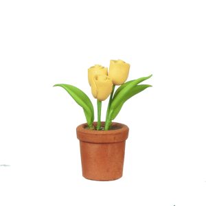 TULIP IN POT/YELLOW