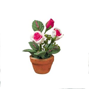 PINK ROSES IN POT
