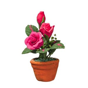 PINK ROSES IN POT