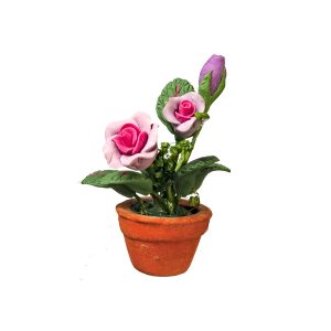 VIOLET/PINK ROSES IN POT