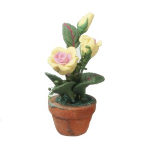 YELLOW/PINK ROSES IN POT