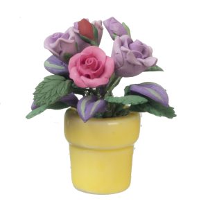 VIOLET/PINK ROSES IN POT