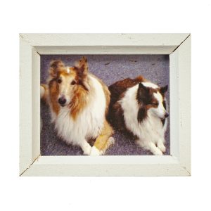 WHITE FRAME/TWO DOGS