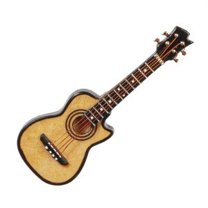 GUITAR W/CASE/3.15in