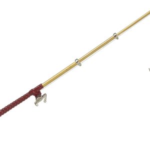 FISHING ROD